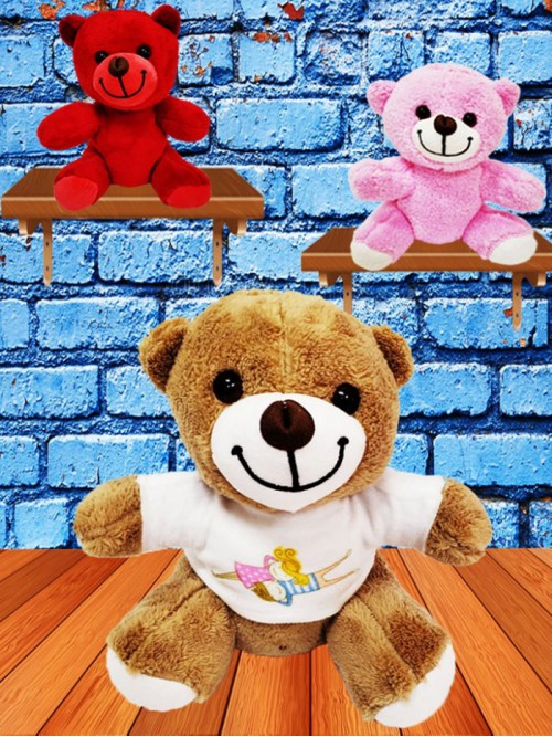 Sevgili Tişörtlü Sevimli Peluş Ayıcık