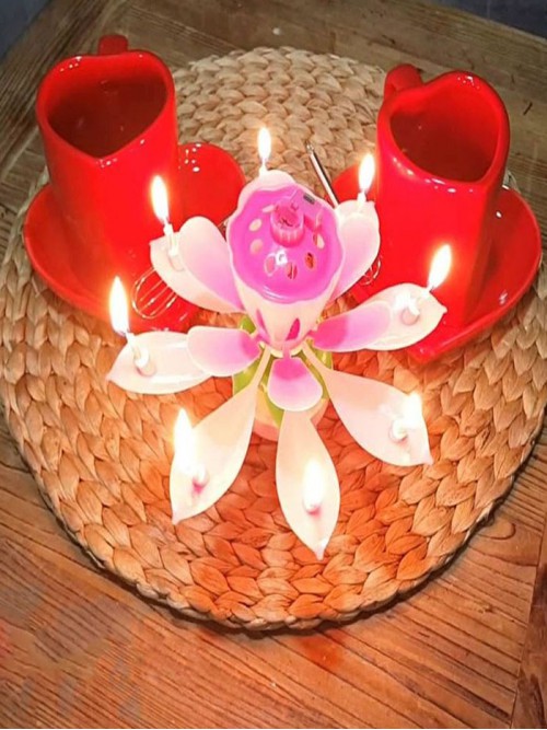 Sihirli Müzikli Dönen Pasta Mumu